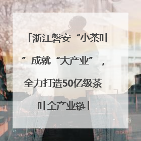 浙江磐安“小茶叶”成就“大产业”，全力打造50亿级茶叶全产业链