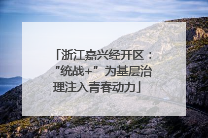 浙江嘉兴经开区：“统战+”为基层治理注入青春动力