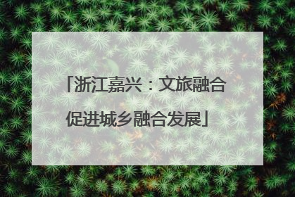 浙江嘉兴：文旅融合促进城乡融合发展