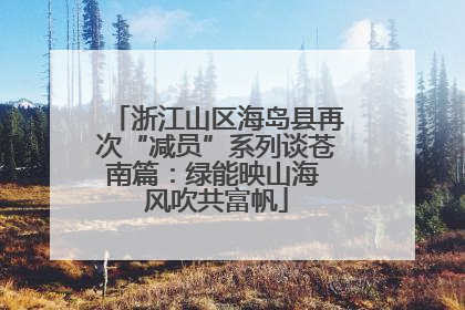 浙江山区海岛县再次“减员”系列谈苍南篇：绿能映山海 风吹共富帆