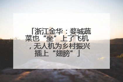 浙江金华：婺城蔬菜也“坐”上了飞机，无人机为乡村振兴插上“翅膀”