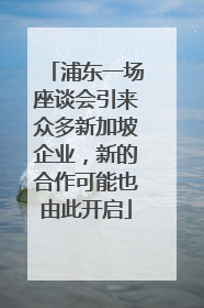 浦东一场座谈会引来众多新加坡企业，新的合作可能也由此开启
