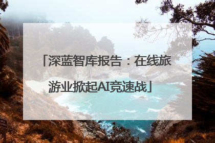 深蓝智库报告：在线旅游业掀起AI竞速战