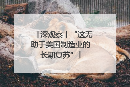 深观察丨“这无助于美国制造业的长期复苏”