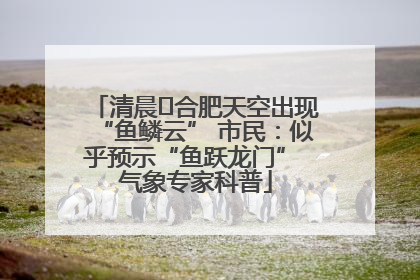 清晨﻿合肥天空出现“鱼鳞云” 市民：似乎预示“鱼跃龙门” 气象专家科普