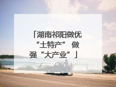 湖南祁阳做优“土特产” 做强“大产业”