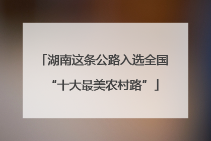 湖南这条公路入选全国“十大最美农村路”