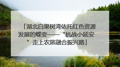 湖北白果树湾依托红色资源发展的蝶变——“抗战小延安”走上农旅融合振兴路