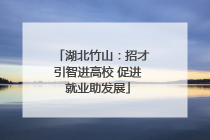 湖北竹山：招才引智进高校 促进就业助发展