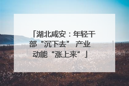 湖北咸安：年轻干部“沉下去” 产业动能“涨上来”