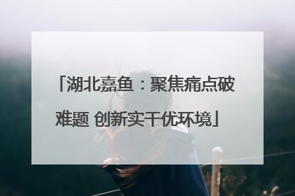 湖北嘉鱼：聚焦痛点破难题 创新实干优环境