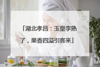湖北孝昌：玉皇李熟了，果香四溢引客来