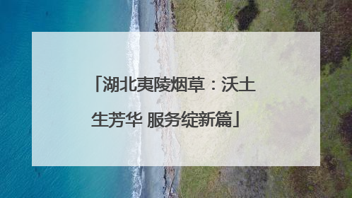 湖北夷陵烟草：沃土生芳华 服务绽新篇