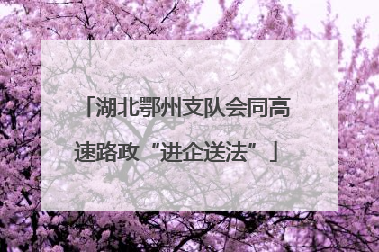 湖北鄂州支队会同高速路政“进企送法”