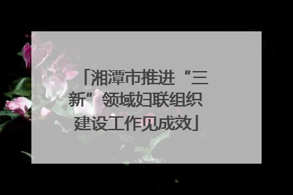 湘潭市推进“三新”领域妇联组织建设工作见成效