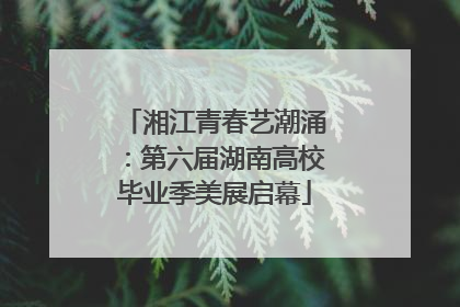 湘江青春艺潮涌：第六届湖南高校毕业季美展启幕