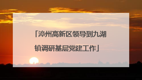 漳州高新区领导到九湖镇调研基层党建工作