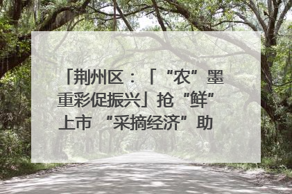 荆州区：「“农”墨重彩促振兴」抢“鲜”上市 “采摘经济”助农“甜蜜增收”
