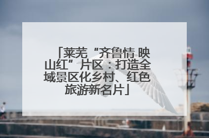 莱芜“齐鲁情 映山红”片区：打造全域景区化乡村、红色旅游新名片