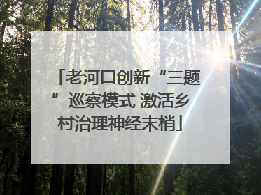老河口创新“三题”巡察模式 激活乡村治理神经末梢