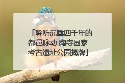 聆听沉睡四千年的都邑脉动 陶寺国家考古遗址公园揭牌
