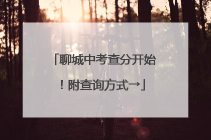聊城中考查分开始！附查询方式→