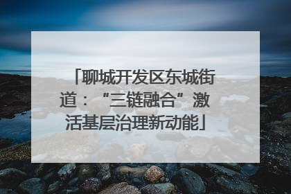 聊城开发区东城街道：“三链融合”激活基层治理新动能