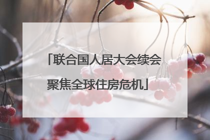联合国人居大会续会聚焦全球住房危机
