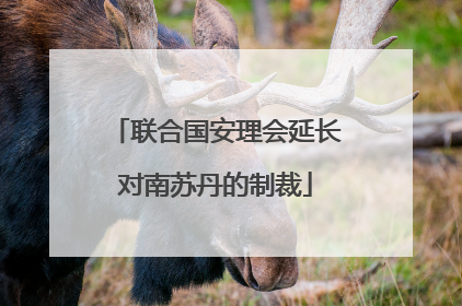 联合国安理会延长对南苏丹的制裁