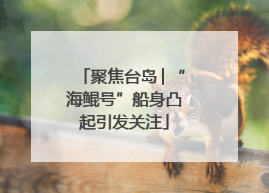 聚焦台岛│“海鲲号”船身凸起引发关注