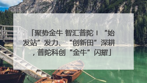 聚势金牛 智汇普陀〡“始发站”发力、“创新田”深耕，普陀科创“金牛”闪耀