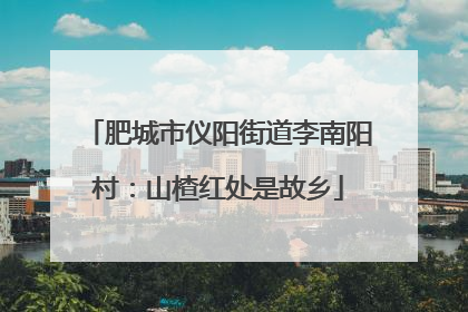 肥城市仪阳街道李南阳村：山楂红处是故乡
