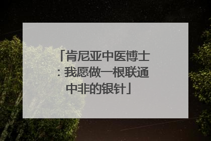 肯尼亚中医博士：我愿做一根联通中非的银针