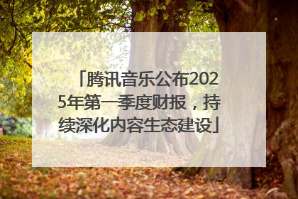 腾讯音乐公布2025年第一季度财报，持续深化内容生态建设