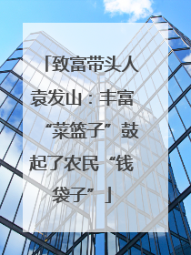 致富带头人袁发山：丰富“菜篮子”鼓起了农民“钱袋子”