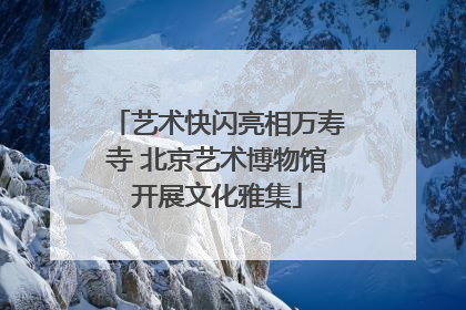 艺术快闪亮相万寿寺 北京艺术博物馆开展文化雅集