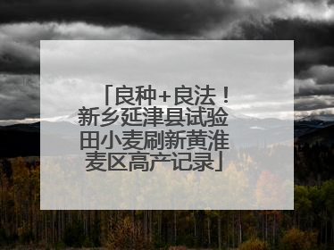 良种+良法！新乡延津县试验田小麦刷新黄淮麦区高产记录