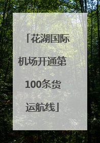花湖国际机场开通第100条货运航线