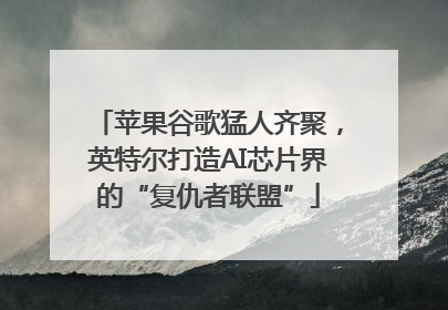 苹果谷歌猛人齐聚，英特尔打造AI芯片界的“复仇者联盟”
