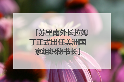 苏里南外长拉姆丁正式出任美洲国家组织秘书长