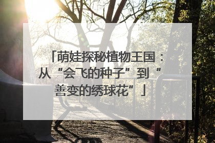 萌娃探秘植物王国：从“会飞的种子”到“善变的绣球花”