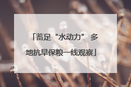 蓄足“水动力” 多地抗旱保粮一线观察