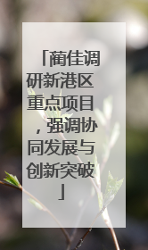蔺佳调研新港区重点项目，强调协同发展与创新突破