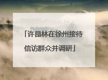 许昆林在徐州接待信访群众并调研