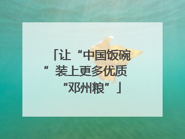 让“中国饭碗”装上更多优质“邓州粮”