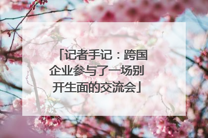 记者手记：跨国企业参与了一场别开生面的交流会