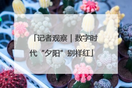 记者观察｜数字时代“夕阳”别样红