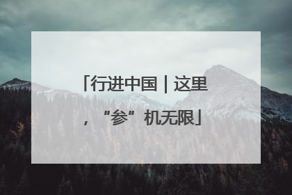 行进中国｜这里，“参”机无限