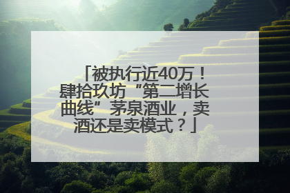 被执行近40万！肆拾玖坊“第二增长曲线”茅泉酒业，卖酒还是卖模式？