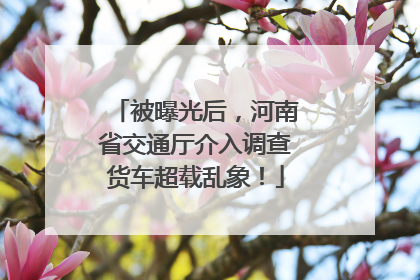 被曝光后，河南省交通厅介入调查货车超载乱象！